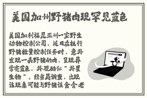 三浦理惠子被义子中岀